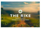 The Rike: Savor & Craft Inspiration with Our Herbal Teas and Artisan Products
